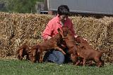 ADULTE ET CHIEN 268